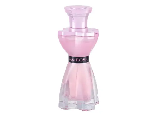 Mirage Brands Paris Lights Rose Eau de Parfum 100 ml