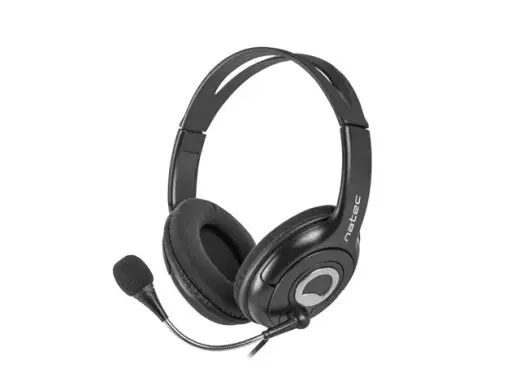 Bear 2 headset with black microphone