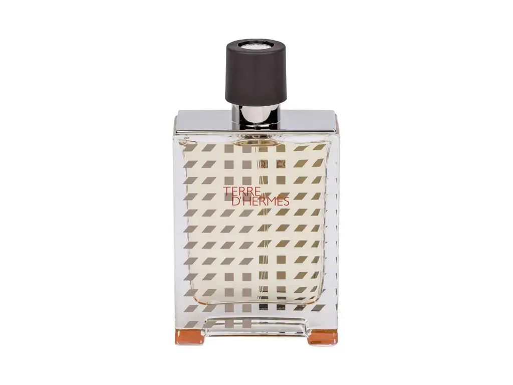 Hermes Terre d'Hermes Flacon H 2019 Eau de Toilette 100 ml