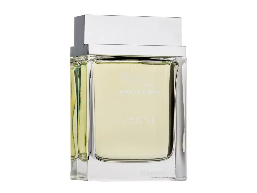 Jaguar Vision II Eau de Toilette 100 ml