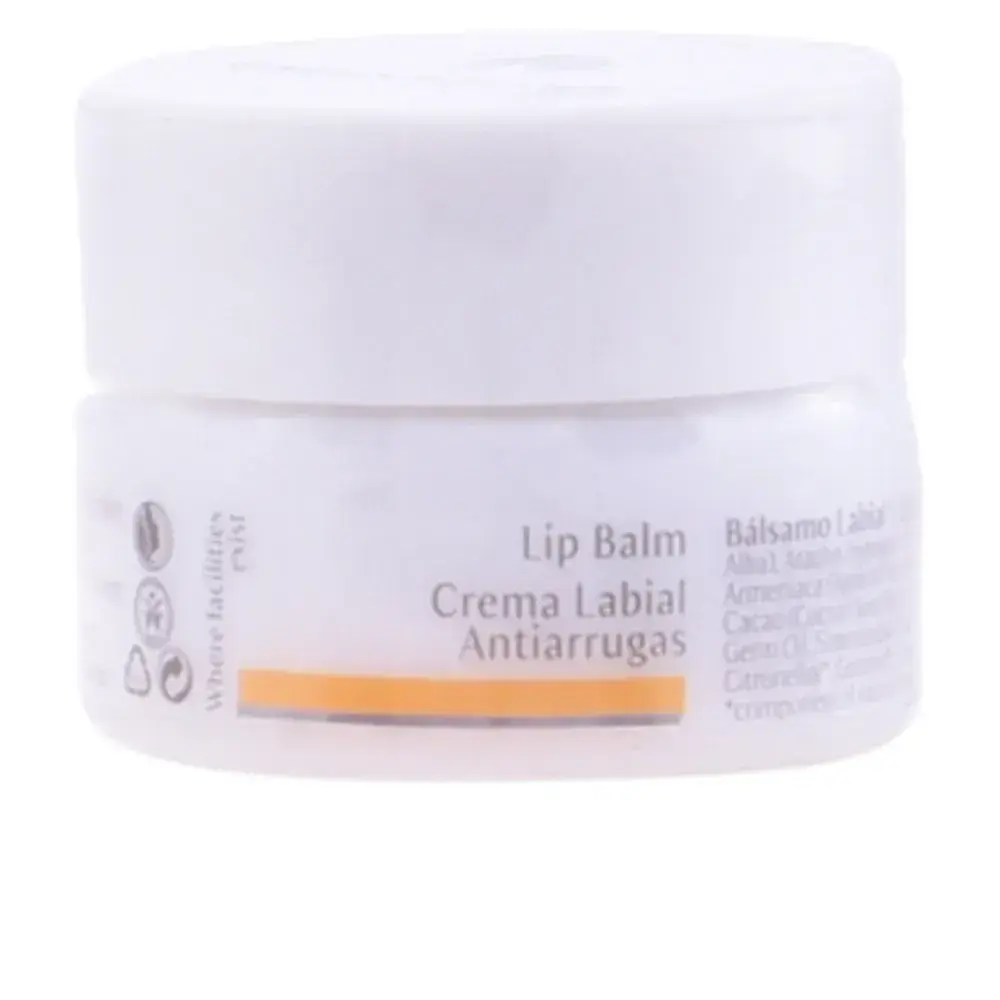 Dr. Hauschka Dr. Hauschka Anti-wrinkle Lip Balm 4.5 ml