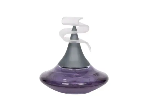 Romeo Gigli Romeo di Romeo Gigli Eau de Parfum 100 ml