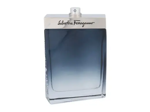 Ferragamo Subtil Pour Homme Eau de Toilette 100 ml