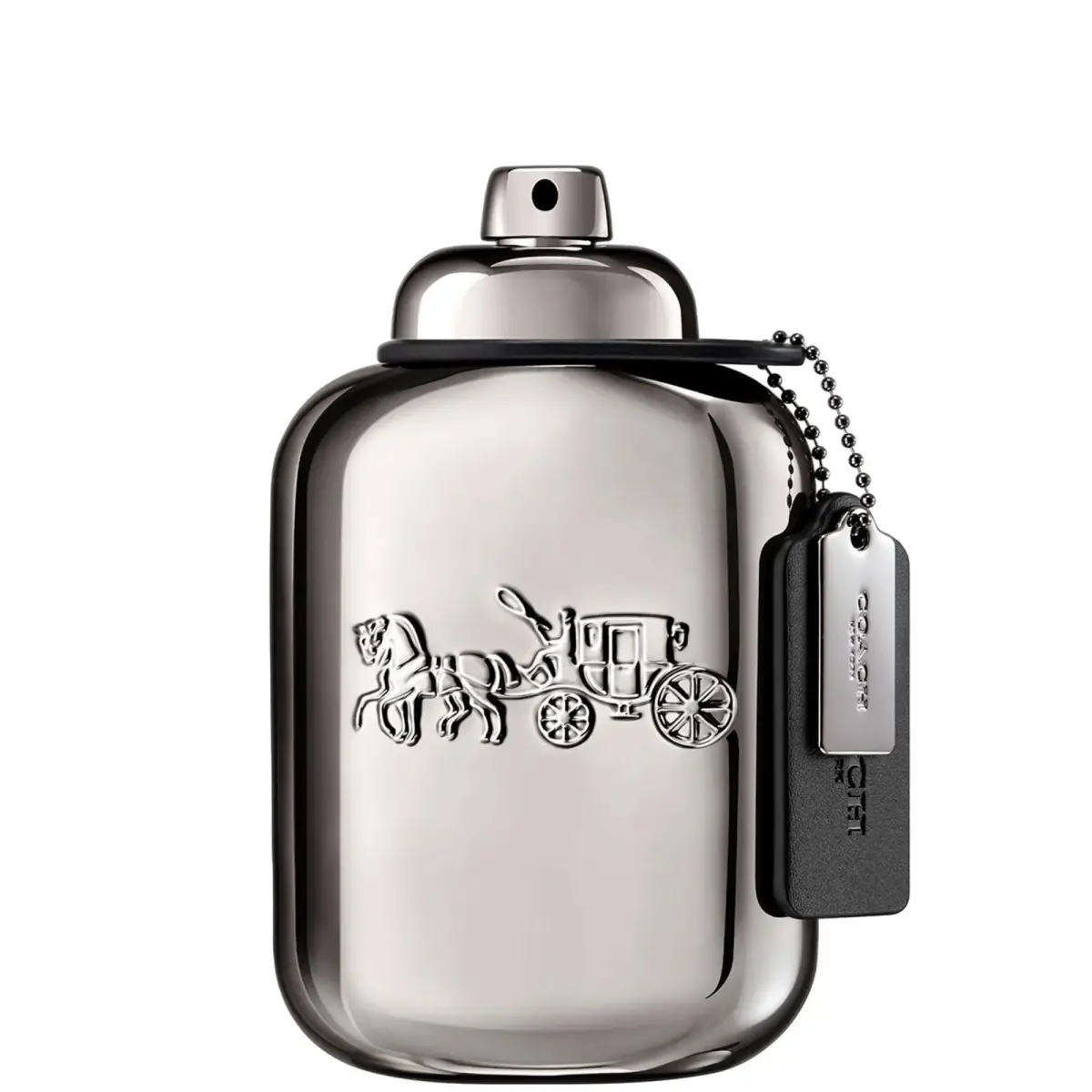 Coach, Pure Platinum, Extrait De Parfum, For Men, 100 ml
