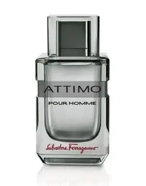 Ferragamo Attimo Pour Homme Eau de Toilette 100 ml