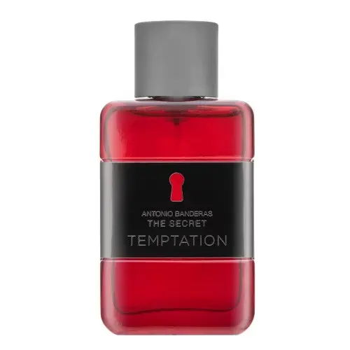 Antonio Banderas The Secret Temptation Eau de Toilette for men 50 ml