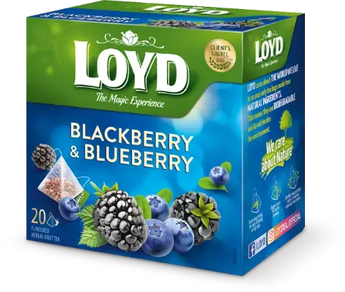 Augļu tēja LOYD Pyramids ar melleņu un kazeņu garšu, 20x2 g