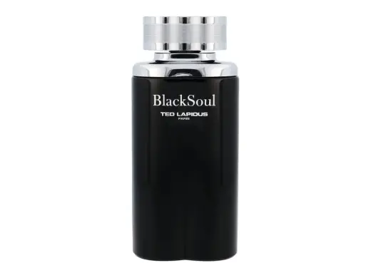 Ted Lapidus Black Soul Eau de Toilette 100 ml