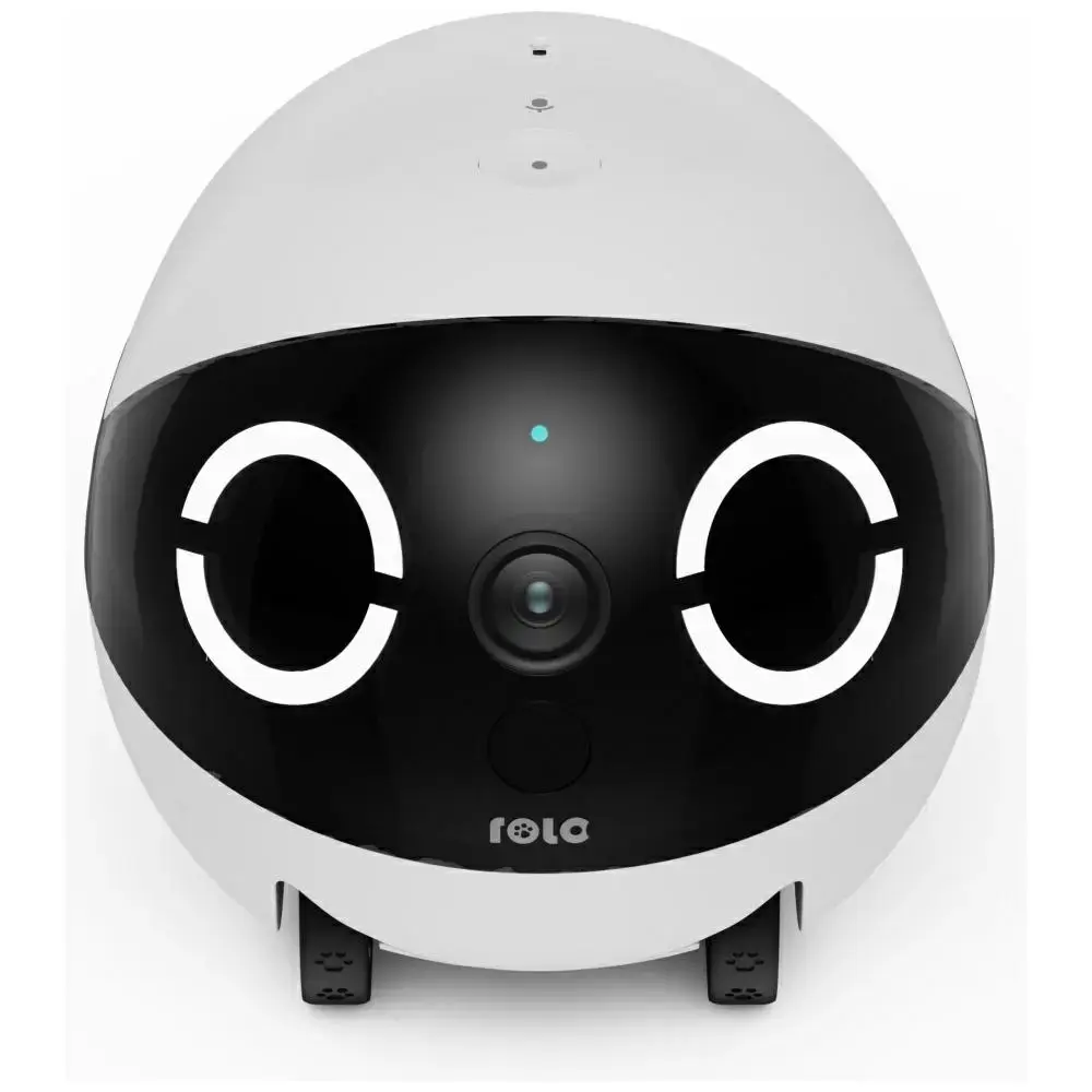 Intelligent companion robot ENABOT   ROLAMINI
