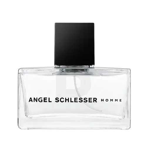 ANGEL SCHLESSER HOMME vaporizador
