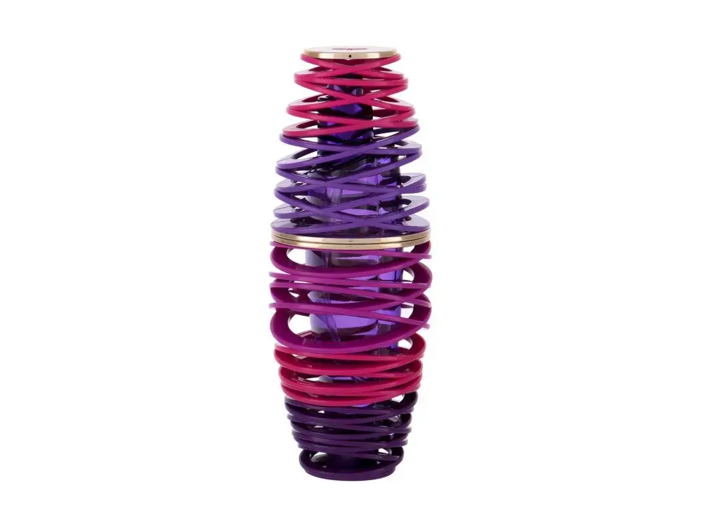 Justin Bieber Girlfriend Eau de Parfum 30 ml