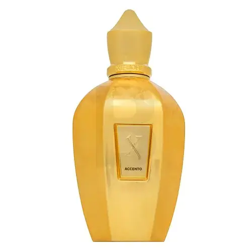 Xerjoff Accento Overdose unisex eau de parfum 100 ml