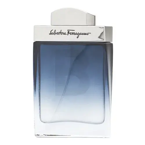 Salvatore Ferragamo Subtil Pour Homme Tualetes ūdens vīriešiem 50 ml
