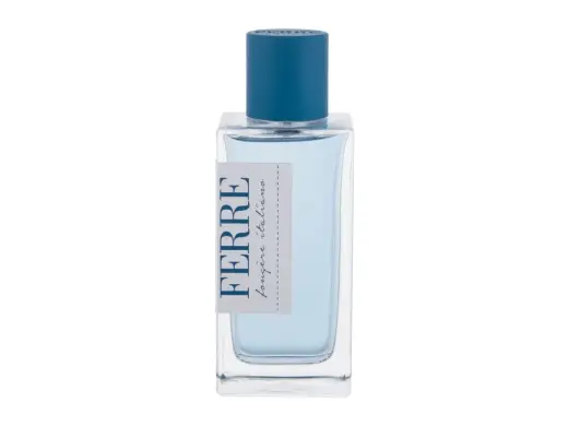 Gianfranco Ferré Fougere Italiano Eau de Toilette 100 ml