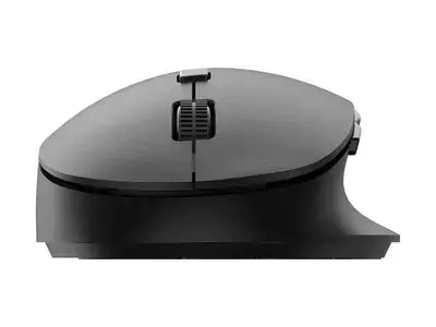 Philips mouse SPK7507B - black