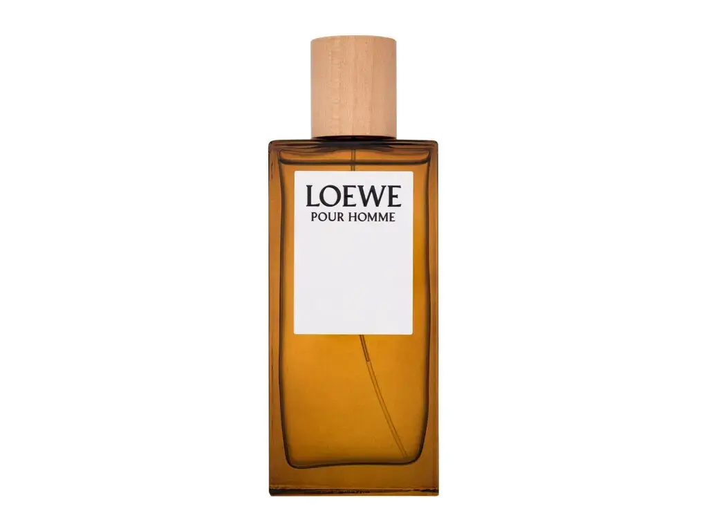 Loewe Pour Homme Eau de Toilette 100 ml