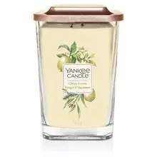 Elevation Citrus Grove Candle - Scented candle