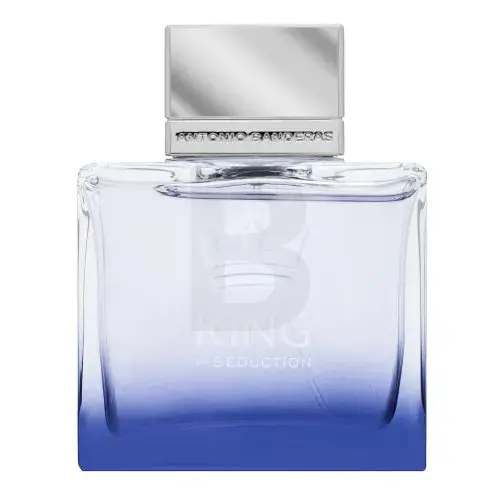 Antonio Banderas King Of Seduction Eau de Toilette for men 100 ml