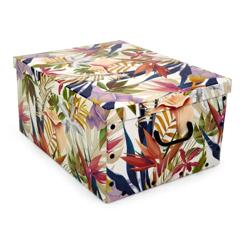 Pappkarp, assortii 49х39х25 cm, Big Box Fantasy
