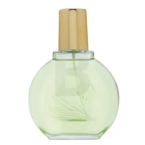 Gloria Vanderbilt Jardin a New York (EDP) Eau de Parfum for Women 100 ml