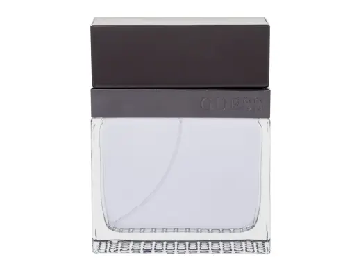 GUESS Seductive Homme Eau de Toilette 100 ml