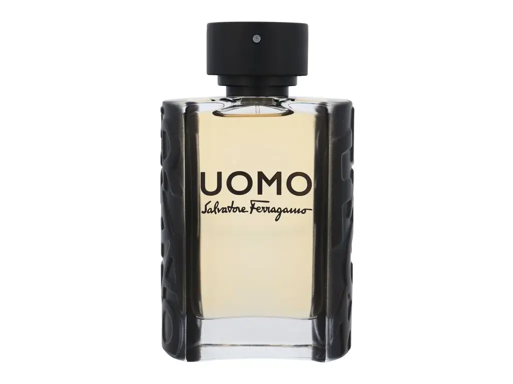 Ferragamo Uomo Eau de Toilette 100 ml