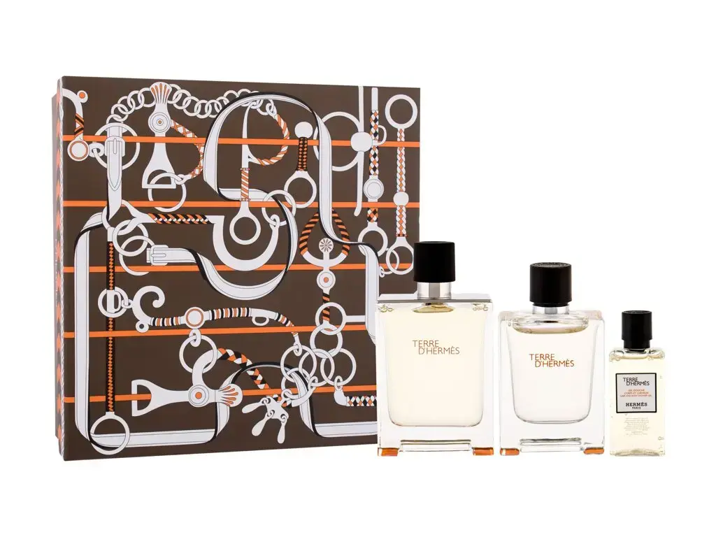 Hermes Terre d'Hermes Eau de Toilette 100 ml