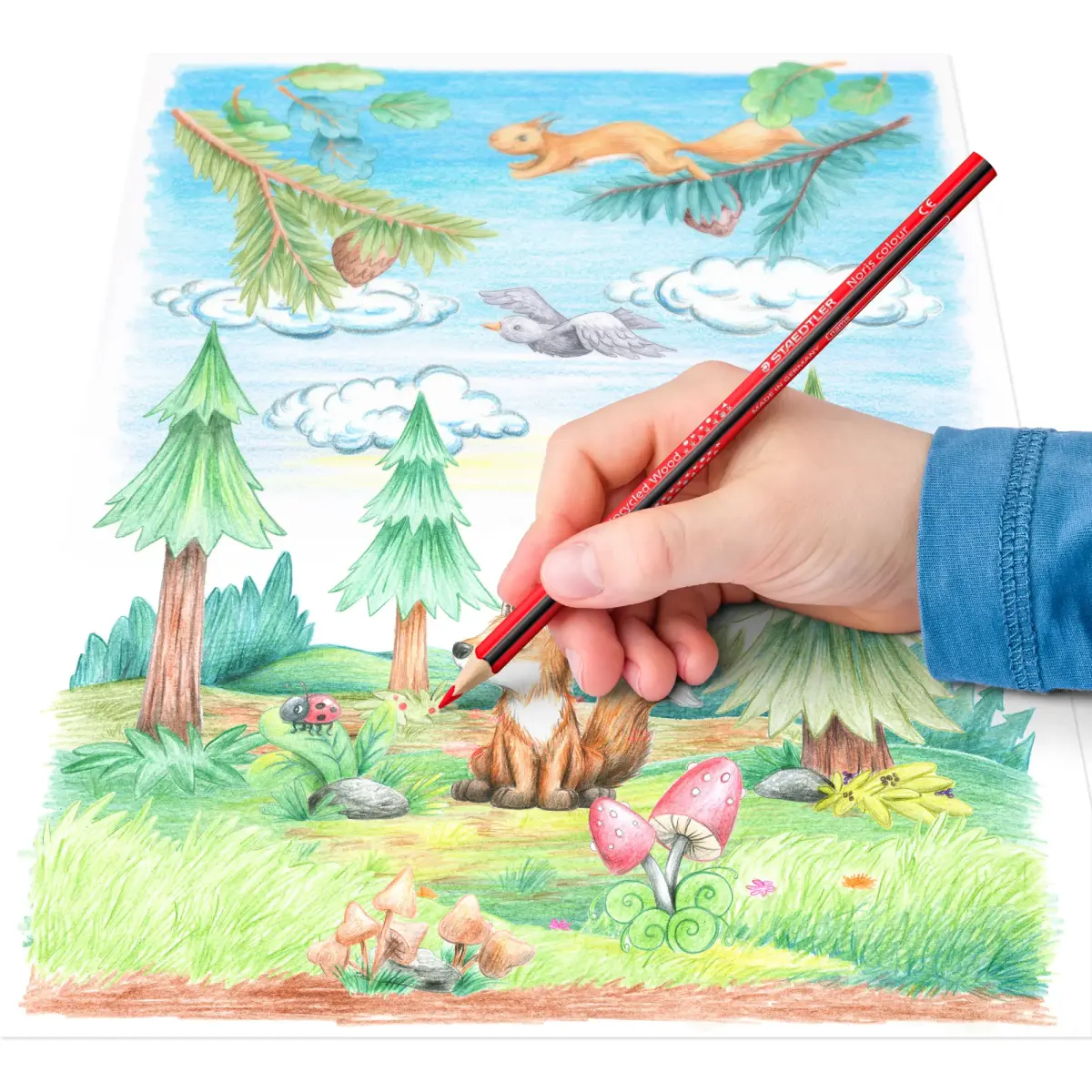 Krāsainie zīmuļi STAEDTLER NORIS, 12 krāsas