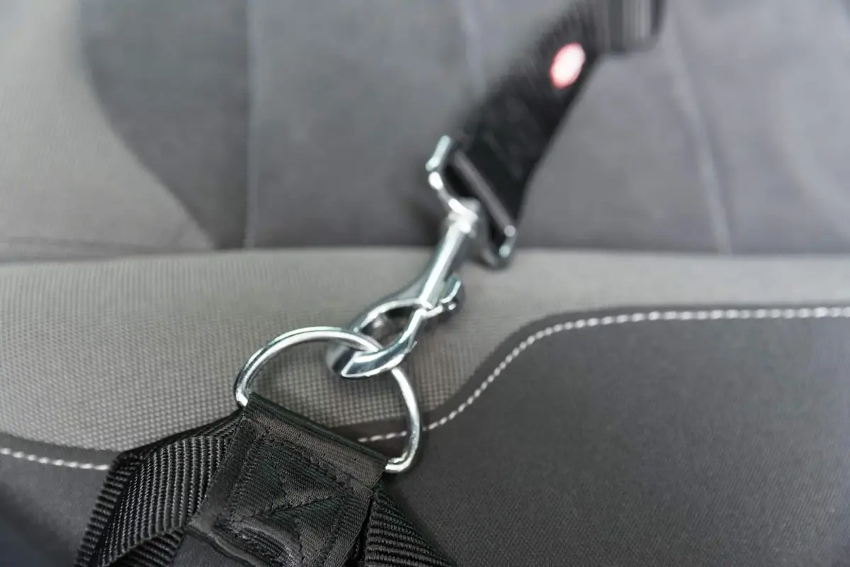 TRX 13 Replacement short leash, 45–70 cm|30 mm, black Īsa pavada suņiem