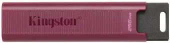 Zibatmiņa Kingston DataTraveler Max 256GB 