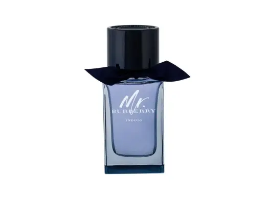 Burberry Mr. Burberry Indigo Eau de Toilette 100 ml