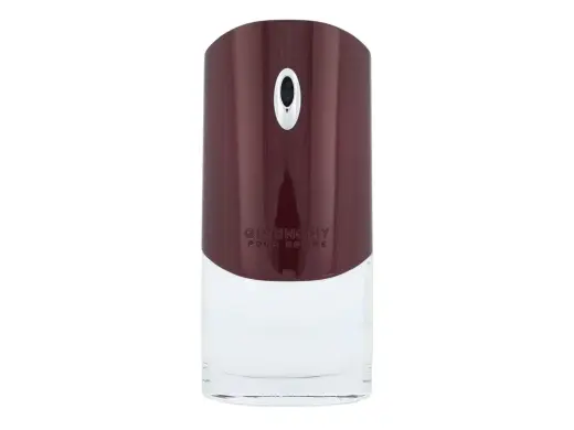 Givenchy Givenchy Pour Homme Eau de Toilette 100 ml