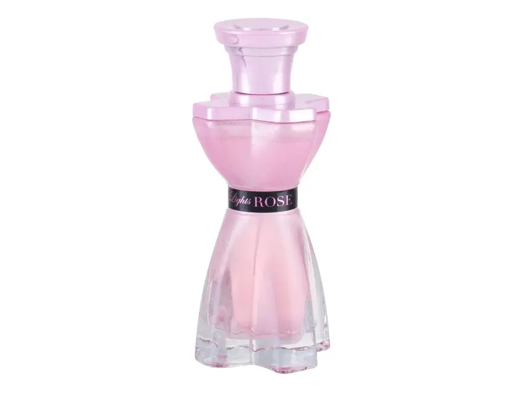 Mirage Brands Paris Lights Rose Eau de Parfum 100 ml