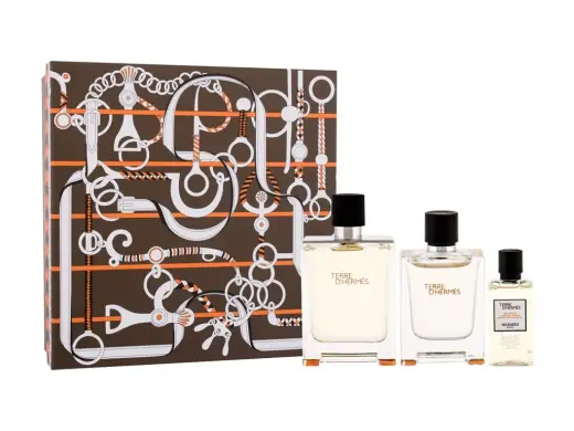 Hermes Terre d'Hermes Eau de Toilette 100 ml