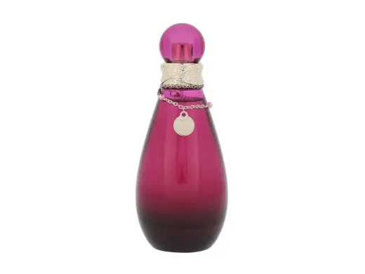 Britney Spears Fantasy the Naughty Remix Eau de Parfum 100 ml