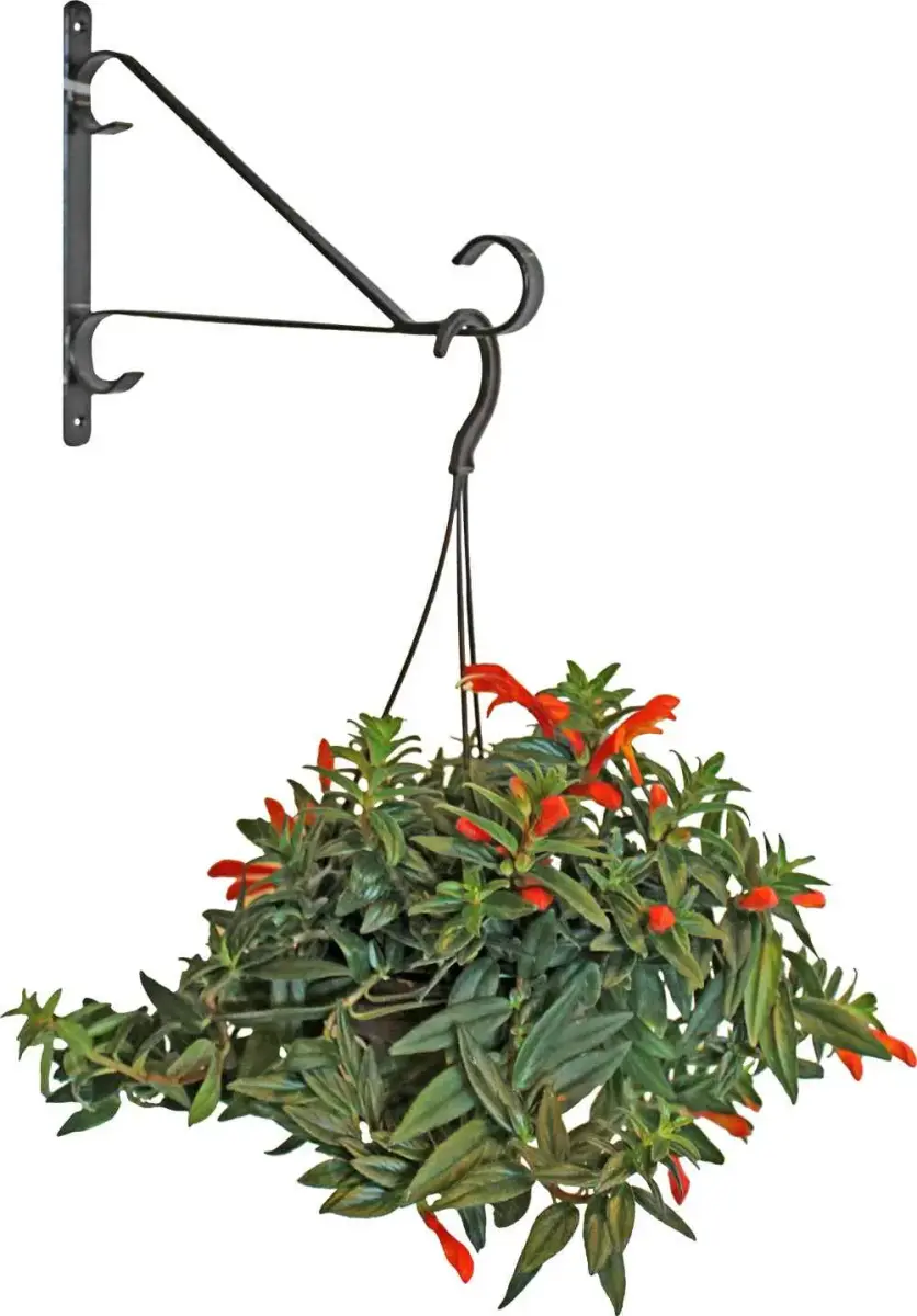 BESK Wall-mounted flower pot holder, metal
