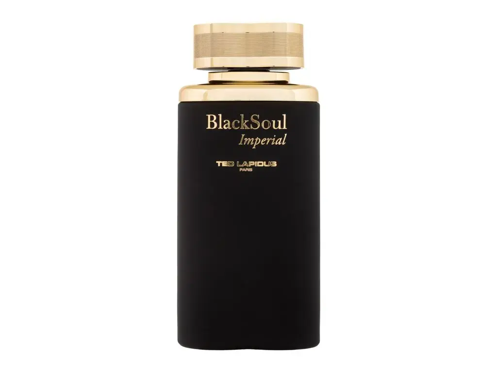 Ted Lapidus Black Soul Imperial Eau de Toilette 100 ml