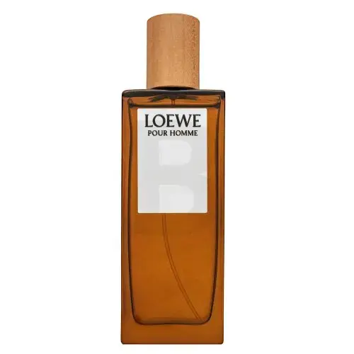 Loewe Pour Homme Eau de Toilette for men 50 ml