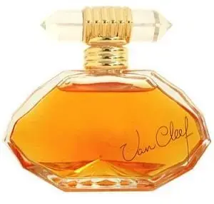Van Cleef & Arpels Van Cleef Eau de Parfum 100 ml