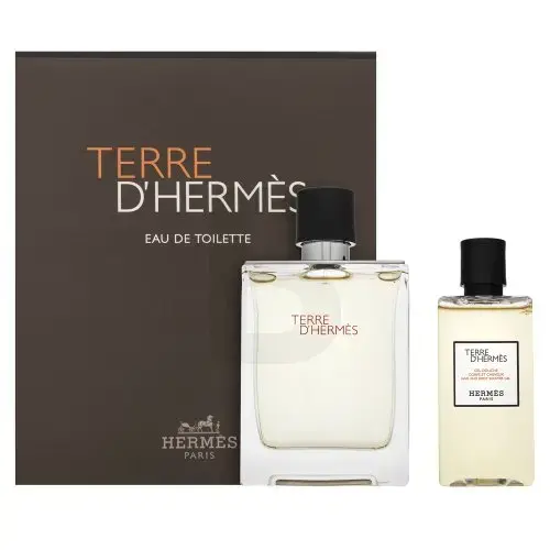 Hermès Terre D'Hermes gift set for men Set I. 100 ml