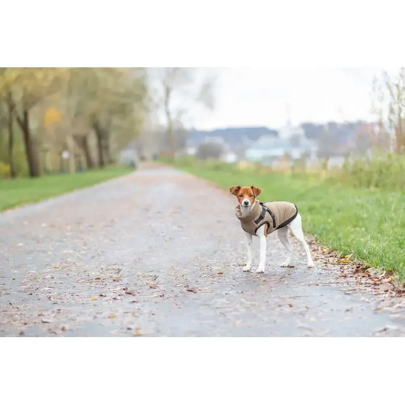 Apģērbs suņiem - Trixie Pirou winter coat with harness, S: 36 cm