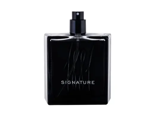 Nino Cerruti Cerruti 1881 Signature Eau de Parfum 100 ml