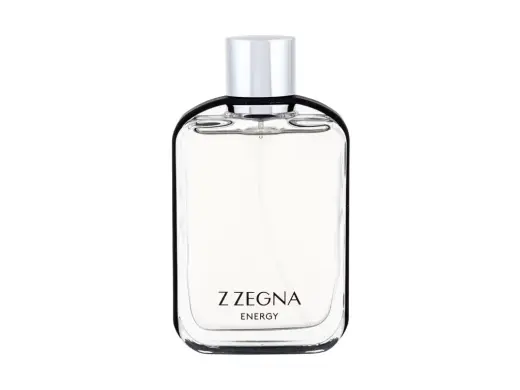 Ermenegildo Zegna Z Zegna Energy Eau de Toilette 100 ml
