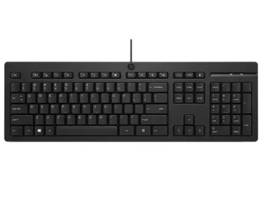 HP 125 G2 USB Wired Keyboard  Sanitizable  Copilot Key - Black - US ENG (BULK of 12 pcs)