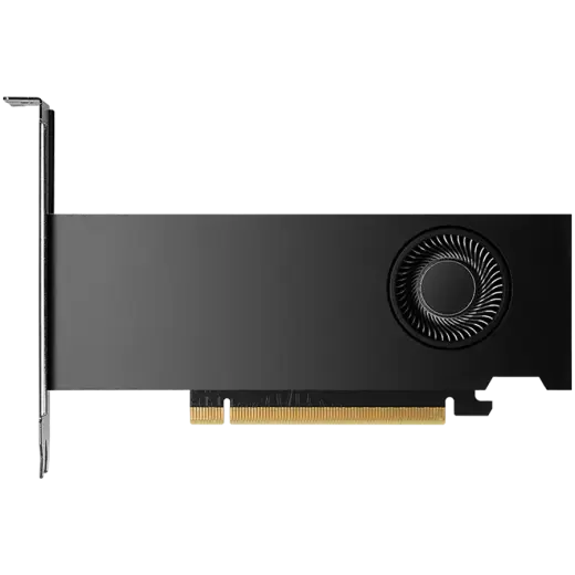 NVIDIA RTX 2000 Ada Generation - graphics card - NVIDIA RTX 2000 Ada - 16 GB