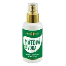 Purity Vision Organic Mint Water - 250 Ml