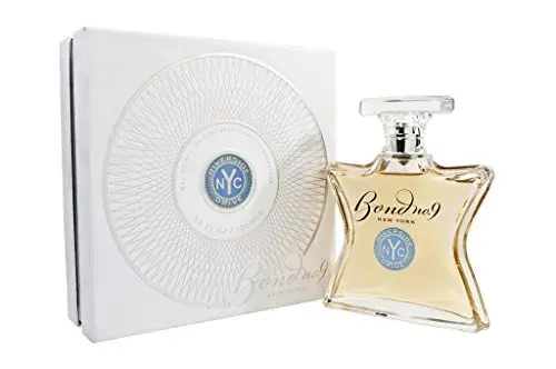 Riverside Drive for Men Eau De Parfum Spray 3.3 Oz