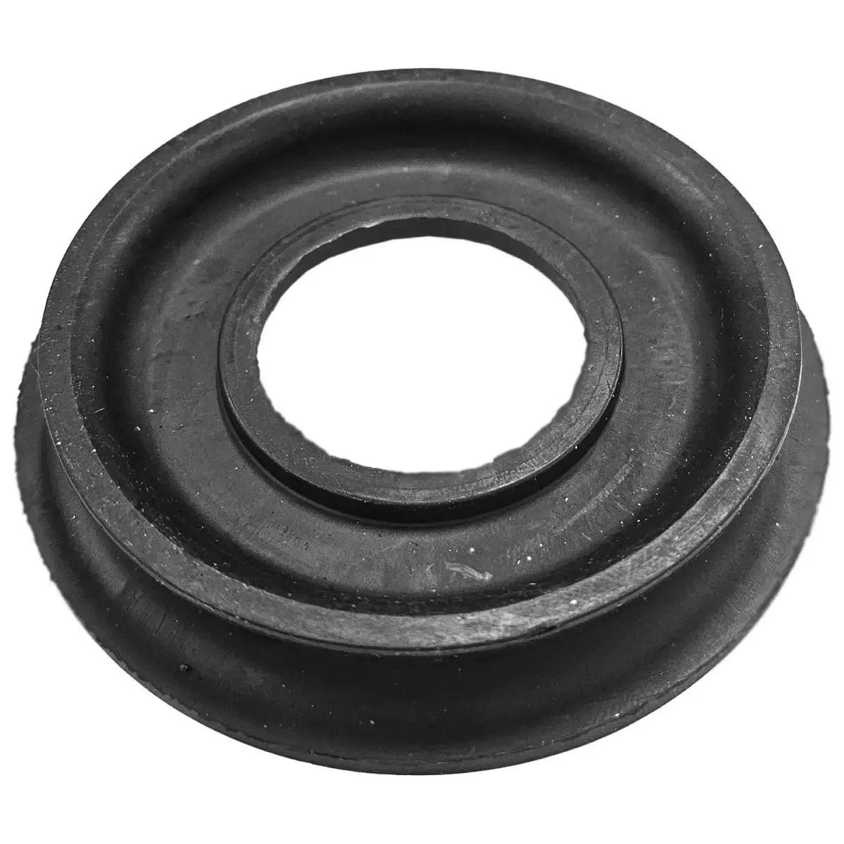 Blīve NT-S