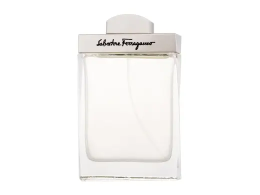 Salvatore Ferragamo Pour Homme (EDT) туалетная вода для мужчин 100 мл