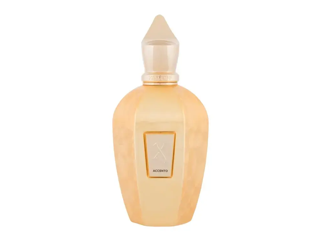 Xerjoff V Collection Accento Overdose Eau de Parfum 100 ml